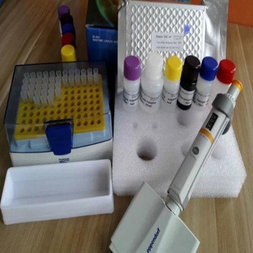 Research Elisa Test Kits